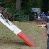 foire-haricots 2011-09-17et18